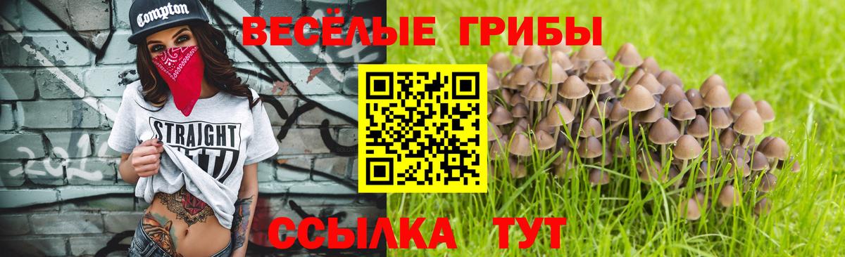 Псилоцибиновые грибы Cubensis Михайловка